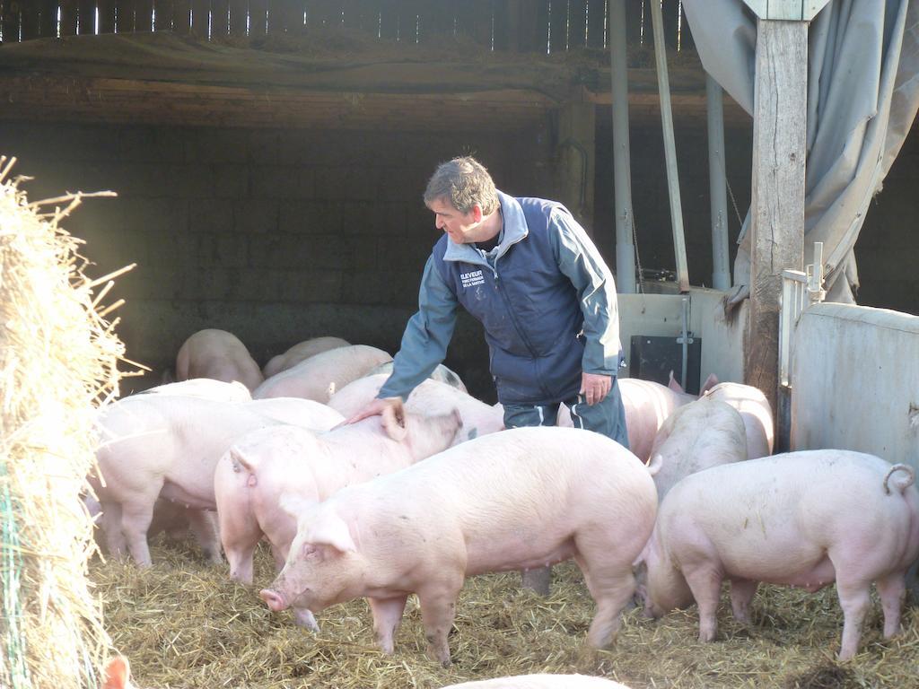 La Ferme Chauvet Bed & Breakfast Chantenay-Villedieu Екстериор снимка